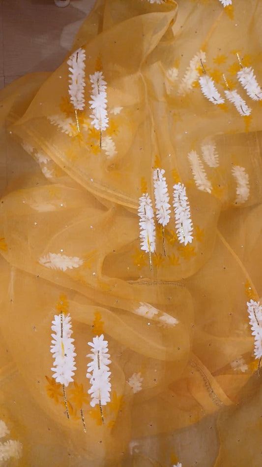 Popsicles on Haldi yellow organza saree with Sitara’s & gota border
