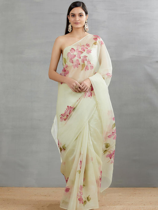 Red Bouganville’s On Pista Organza Saree