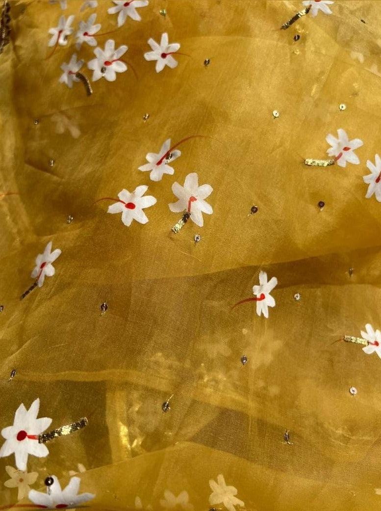 Parijat flowers on Haldi Yellow Organza Saree with border