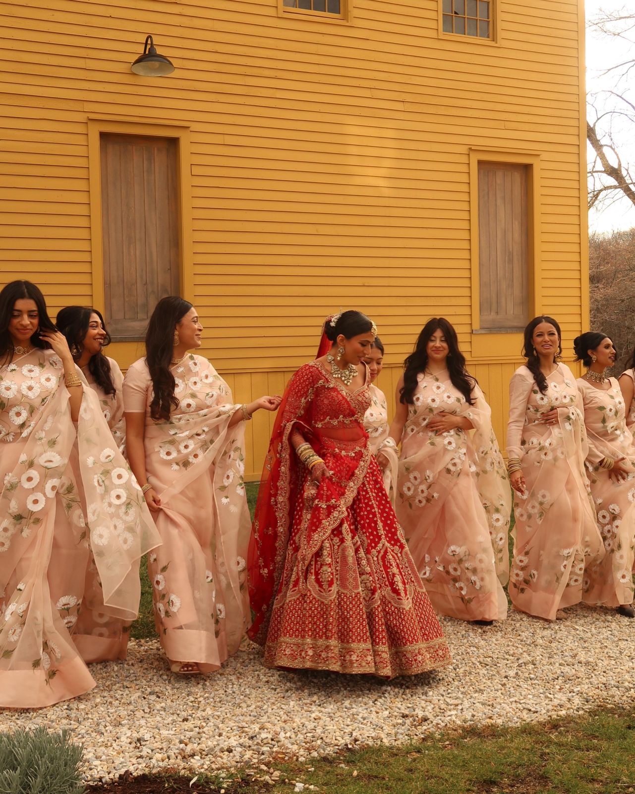 Daisies on Dull Rose Organza Saree