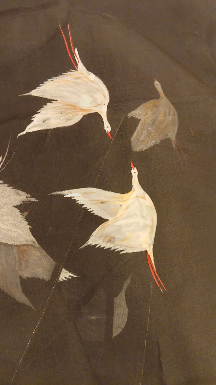 A Flock of Pearl Swans on a tissue saree in charcoal black