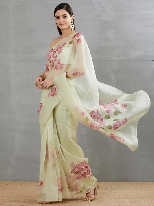 Red Bouganville’s On Pista Organza Saree