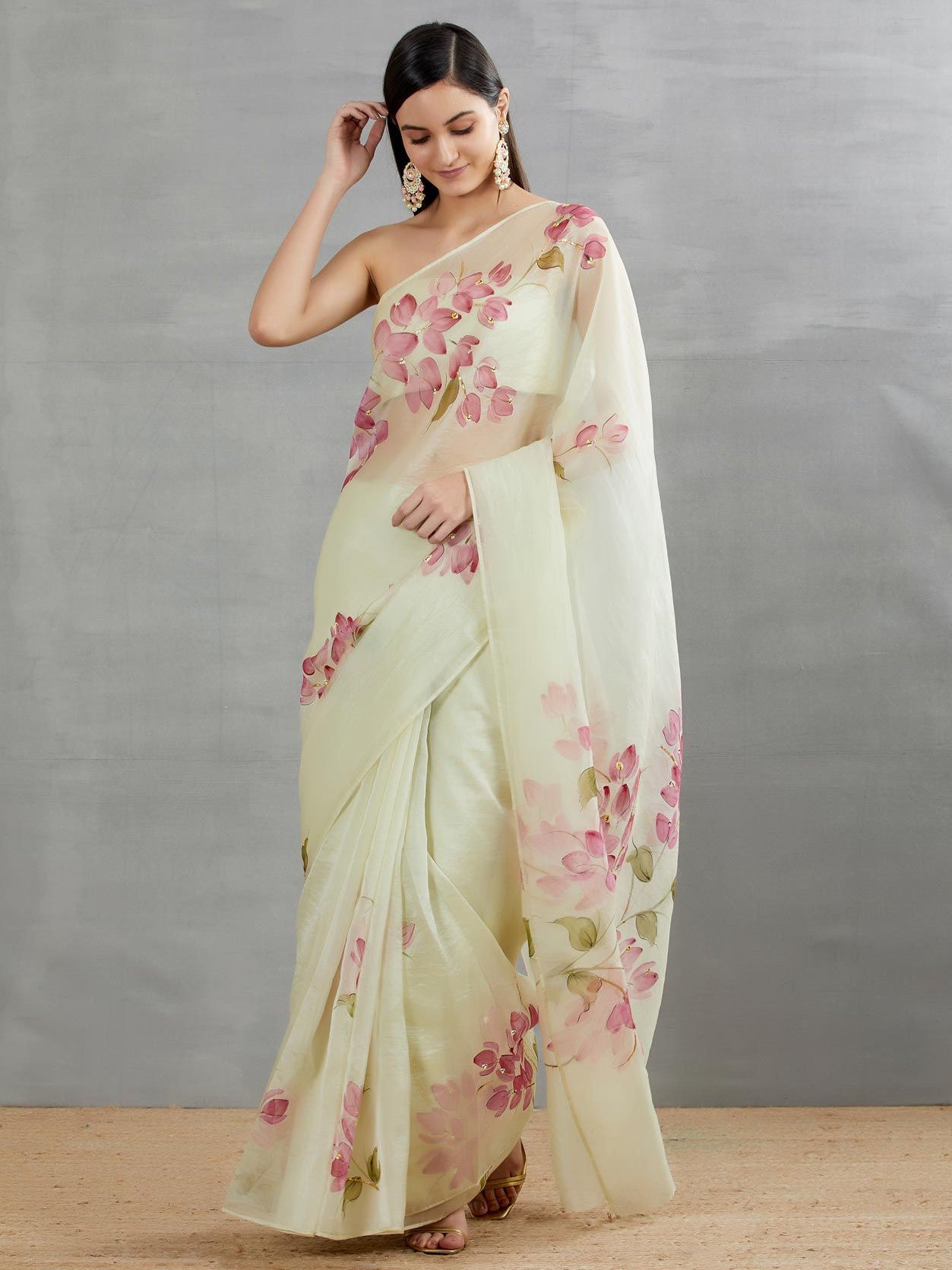 Red Bouganville’s On Pista Organza Saree